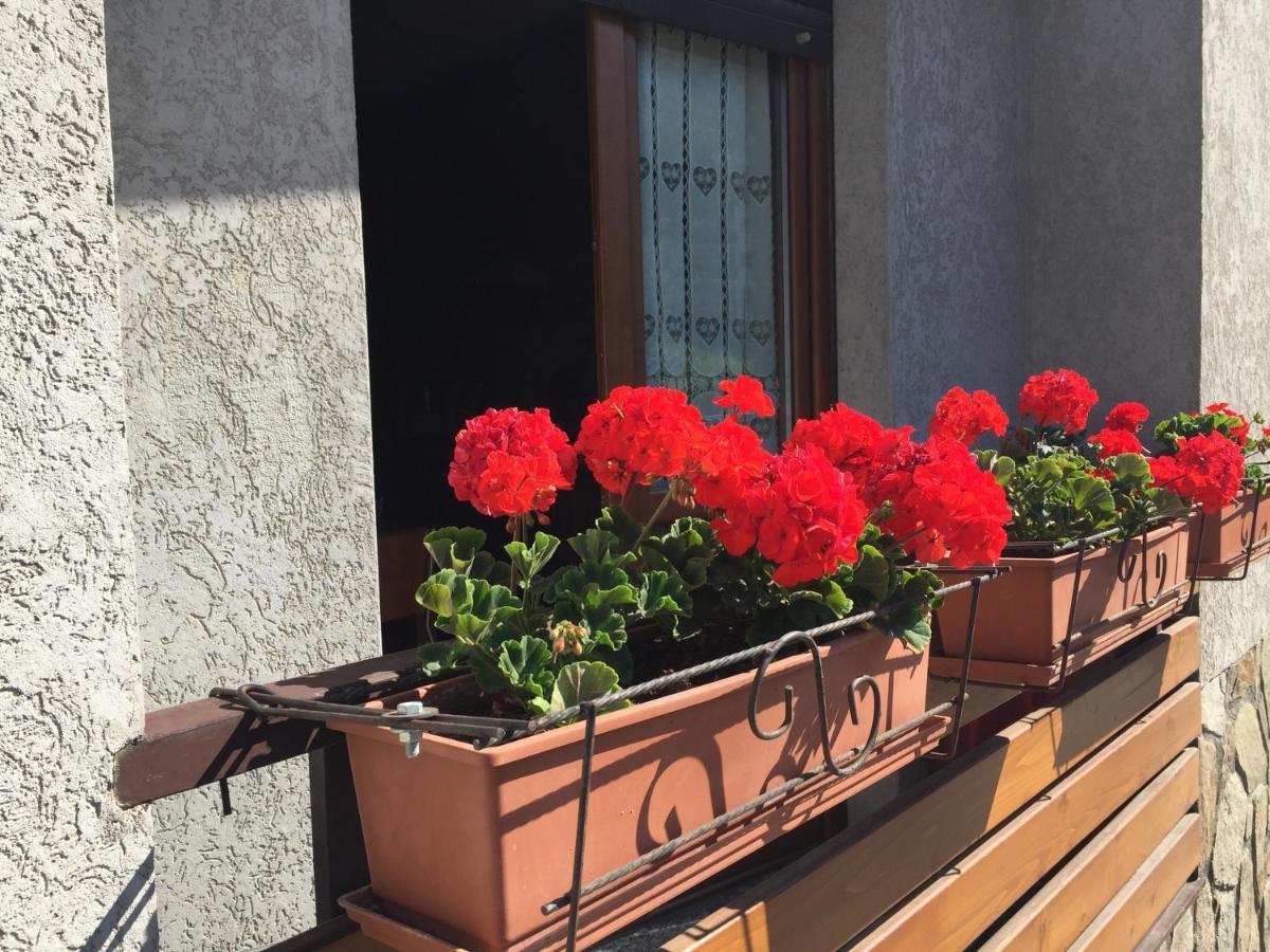Residenza In Zona Pontedilegno T02034 Villa Villa d'Allegno Eksteriør bilde